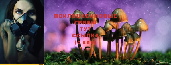 дмт Вяземский