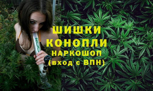 дмт Вяземский
