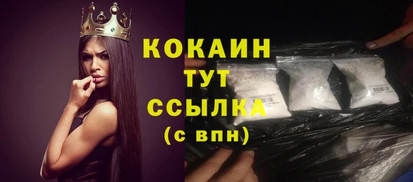 дмт Вяземский