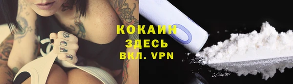 2c-b Горно-Алтайск