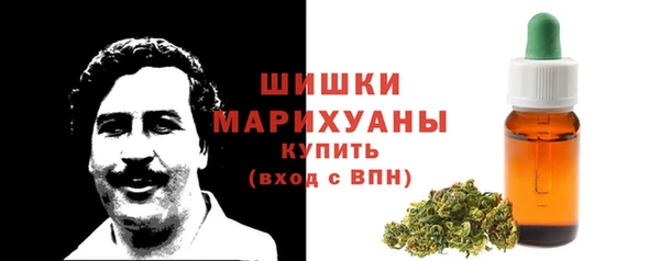 дмт Вяземский