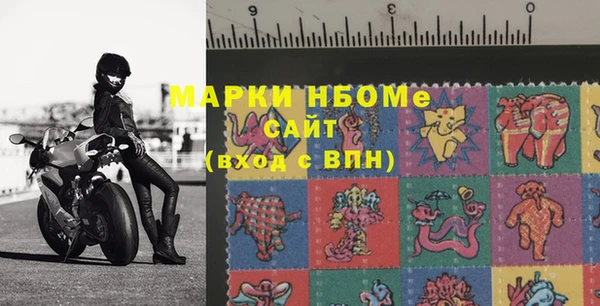 2c-b Горно-Алтайск