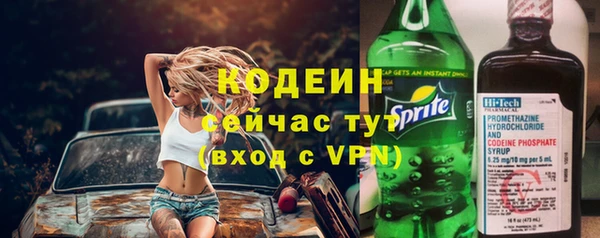 дмт Вяземский
