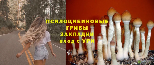 2c-b Горно-Алтайск